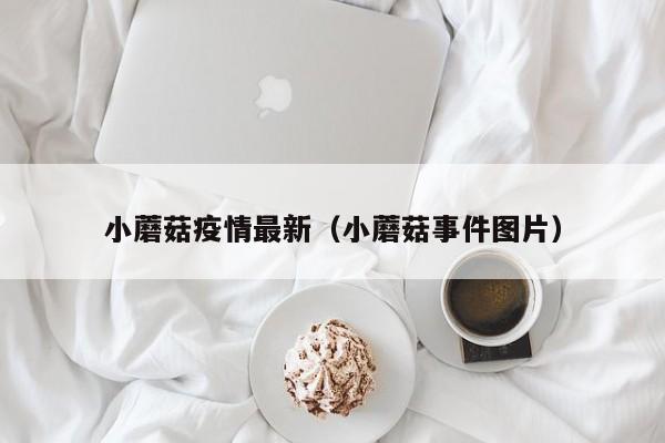 小蘑菇疫情最新（小蘑菇事件图片）
